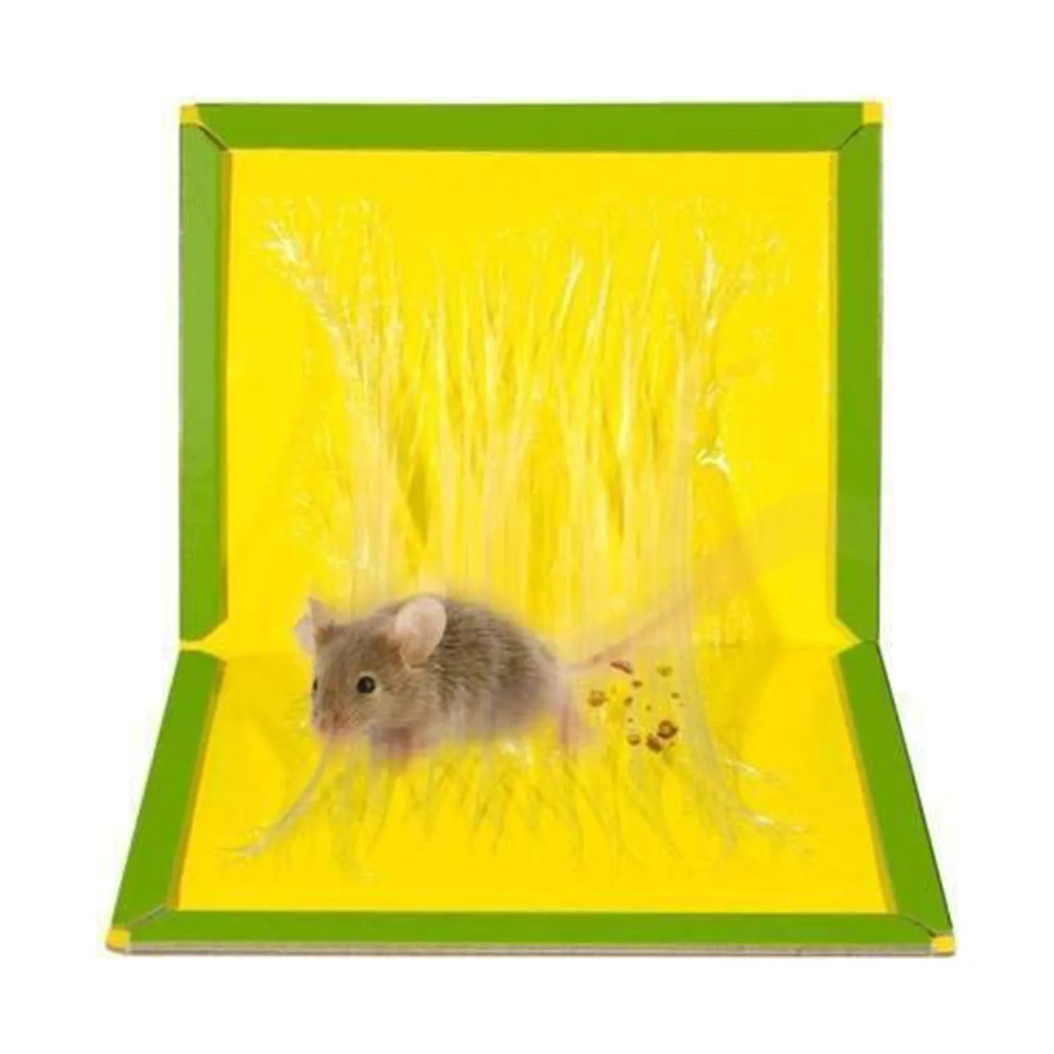 1203B Mice/Rat Glue Trap, Rat Glue Boards, Mouse Bond Traps - Rat Terminator1203B Mice/Rat Glue Trap, Rat Glue Boards, Mouse Bond Traps - Rat Terminator