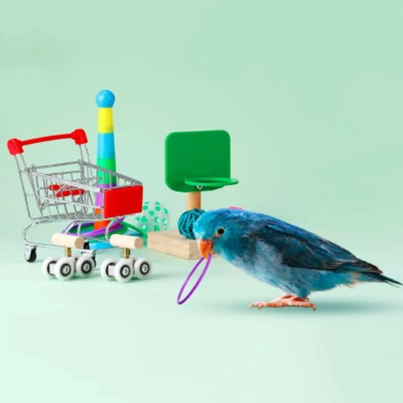 6 Piece Bird Training Toys