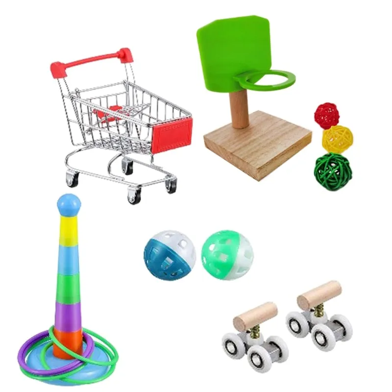 6 Piece Bird Training Toys