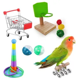 6 Piece Bird Training Toys