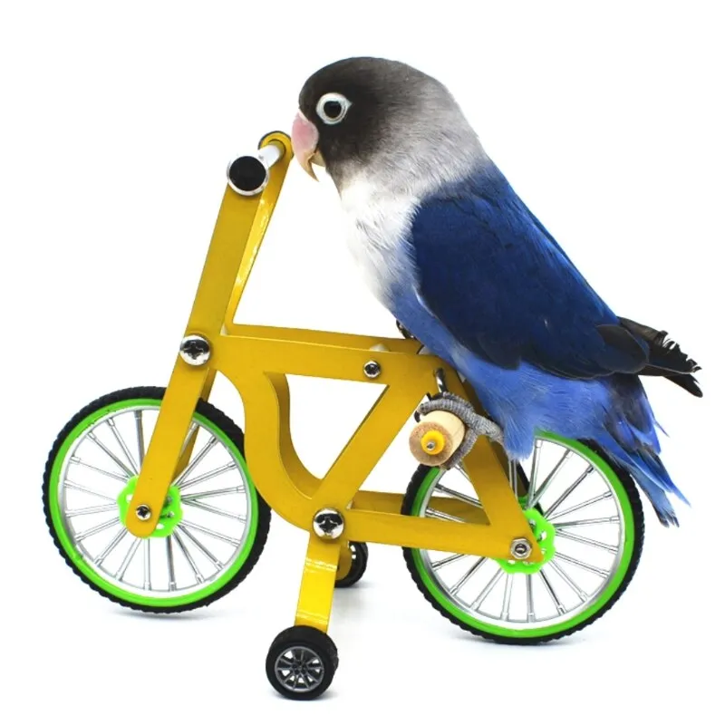 Bird Bicycle Toy