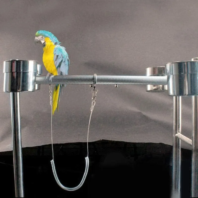 Bird Harness Leash with Leg Ring