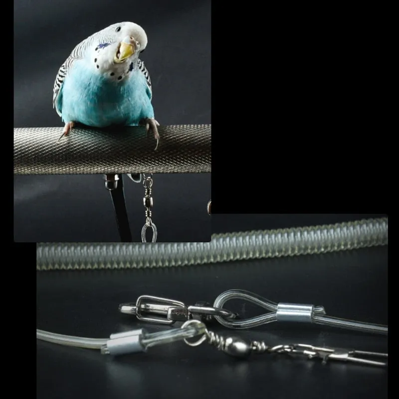 Bird Harness Leash with Leg Ring