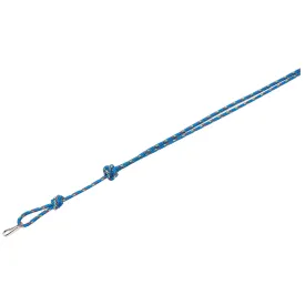 Bisley Multicoloured Lanyards