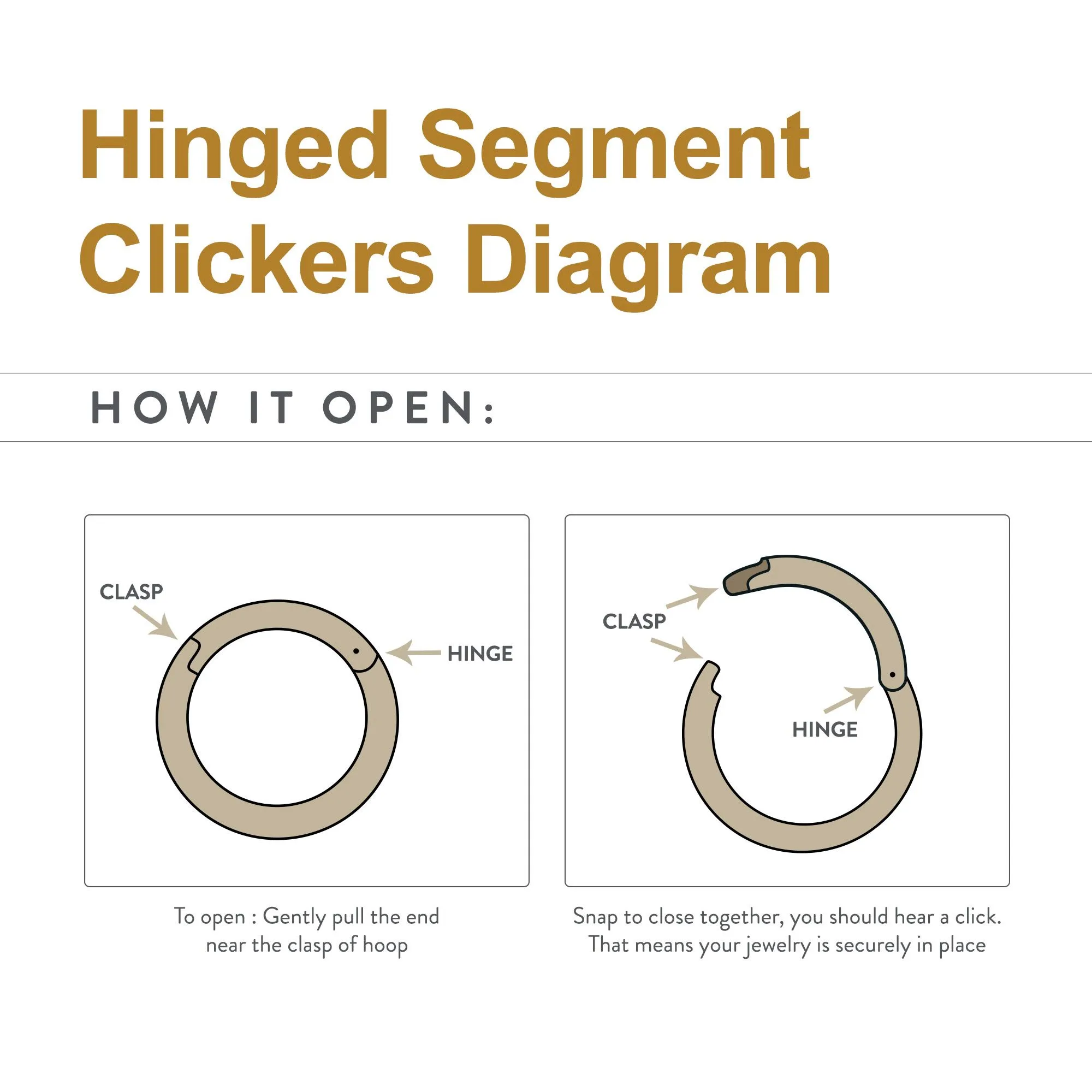 Black PVD Titanium Clicker Ring Oval Shape Hinged Segment - 1 Piece