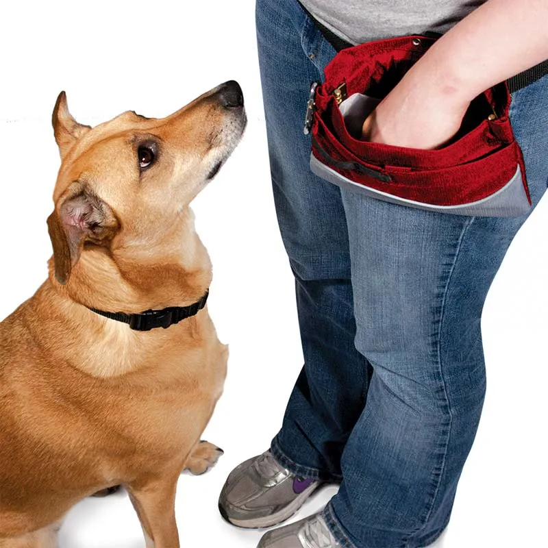 BULK Treat Pouch Sport, Hinged Dog Training Bag - 12 Pack