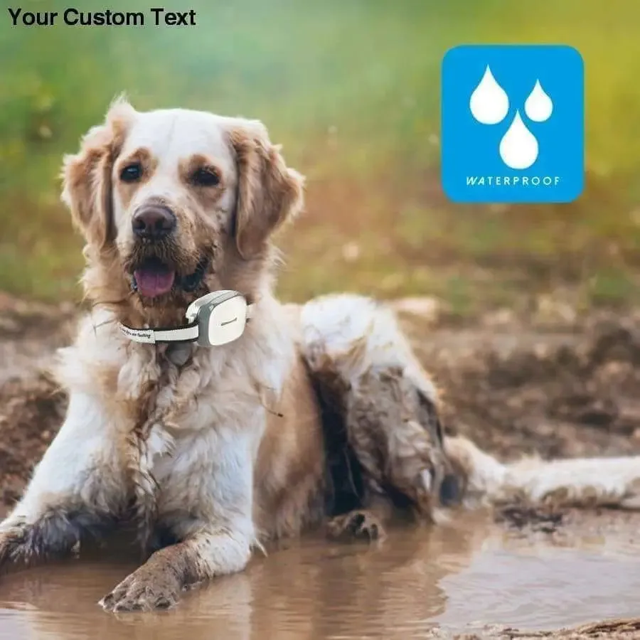 Cats and Dogs GPS Tracker and Smart Pet Finder GPS Collar Attachment