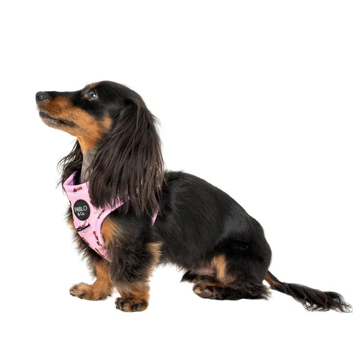 Dachshunds & Wine Adjustable Dog Harness