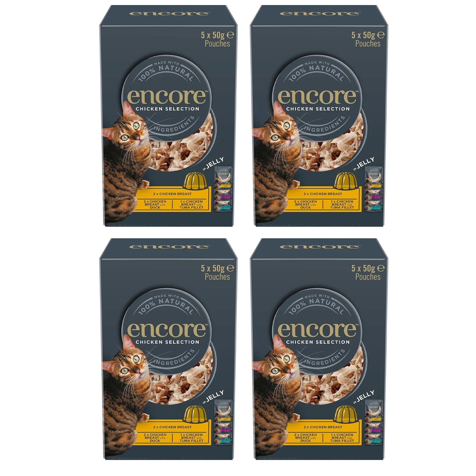 Encore Chicken In Jelly Cat Pouch Multipack