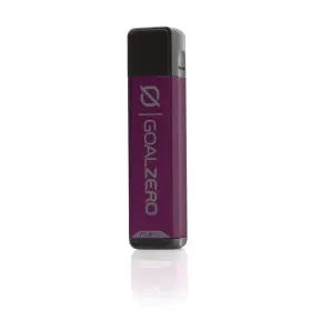 Flip 10 Recharger