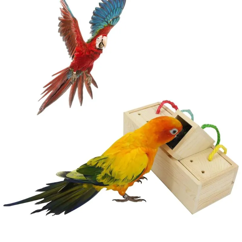 Food Foraging Wooden Box For Birds