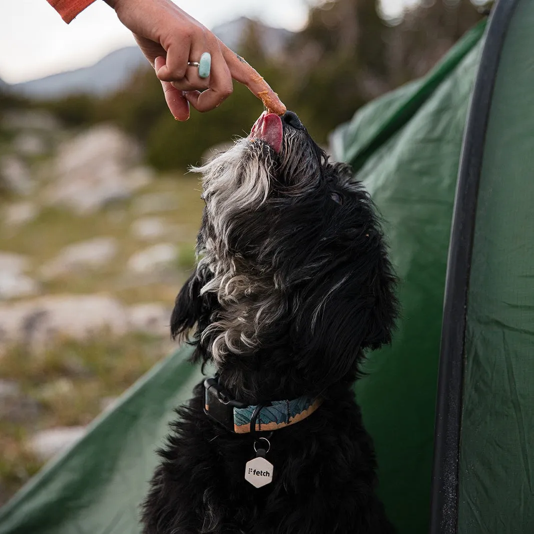 Fresh Breath Fetch® Mini