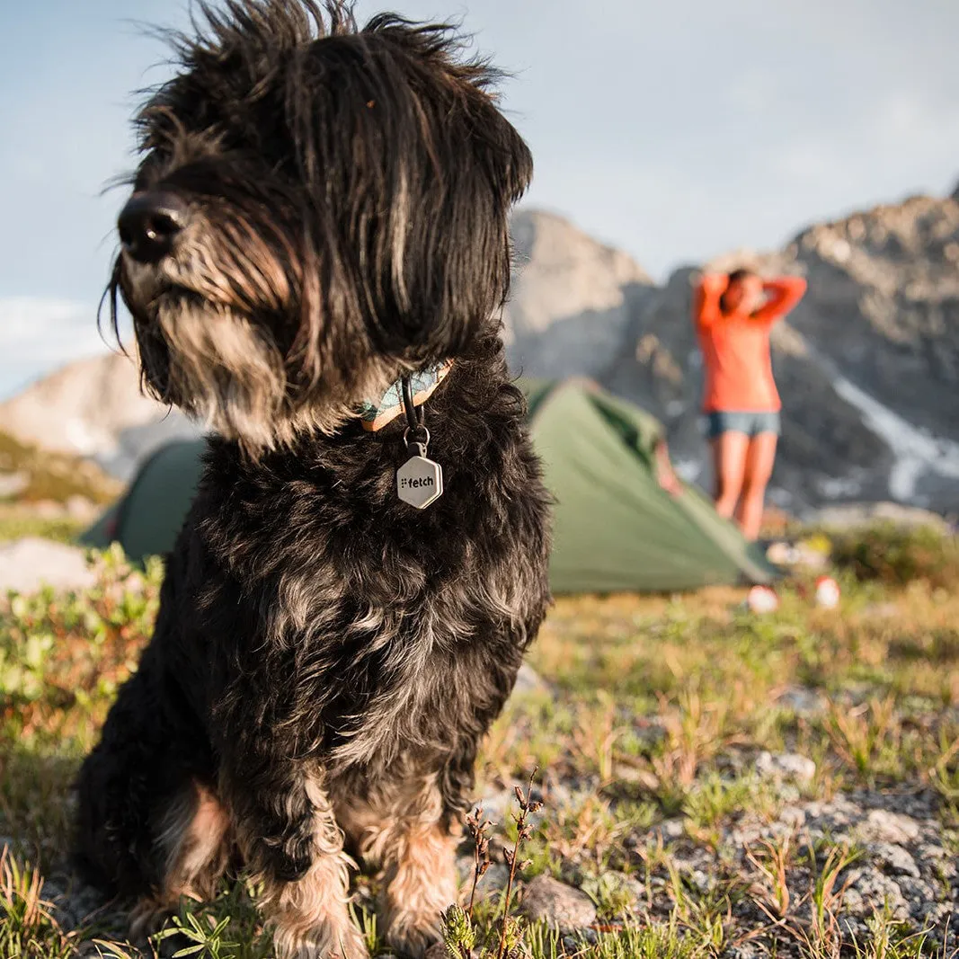 Fresh Breath Fetch® Mini