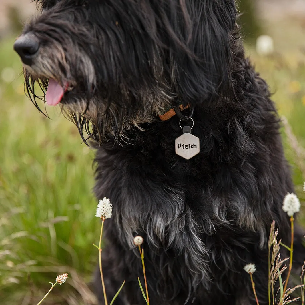 Fresh Breath Fetch® Mini