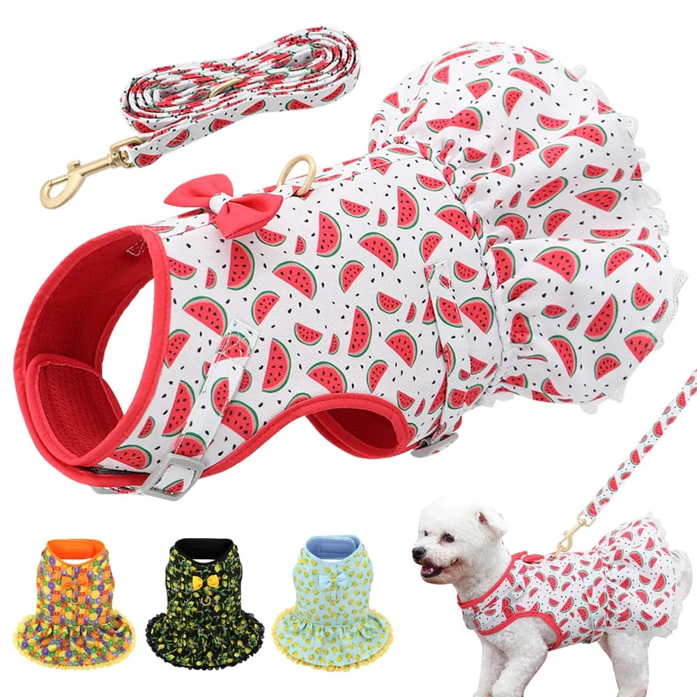 Fruit Harness Dress   Leash - Citrus Orange