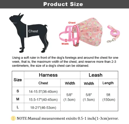 Fruit Harness Dress   Leash - Citrus Orange
