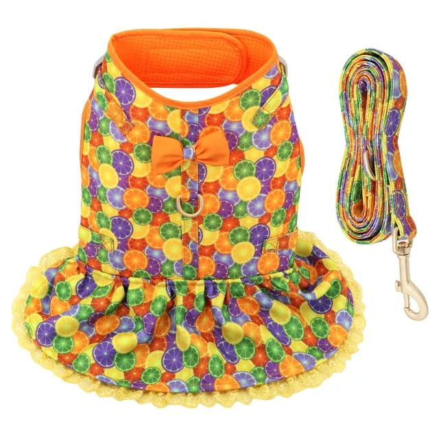 Fruit Harness Dress   Leash - Citrus Orange