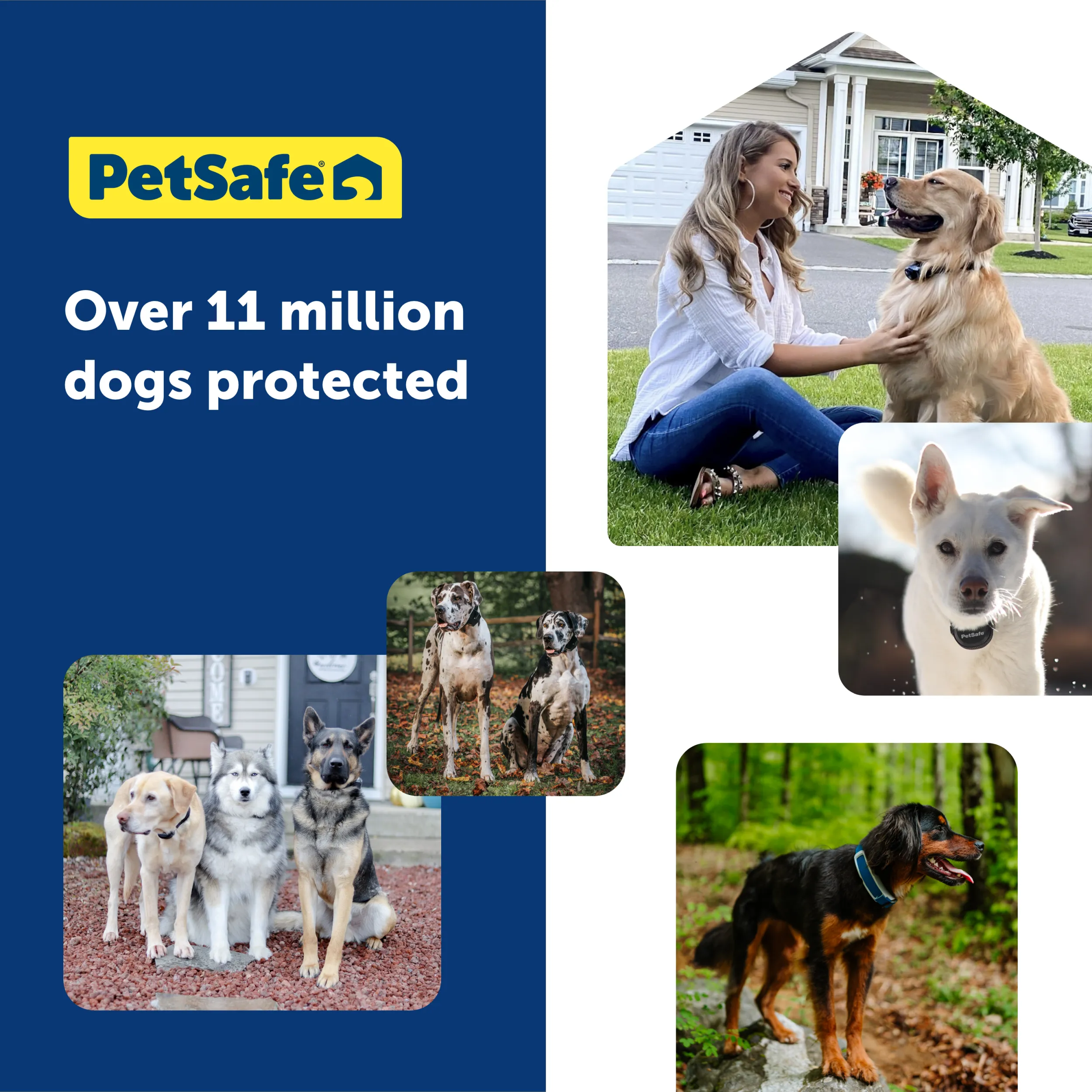Guardian® GPS Add-A-Dog® Collar