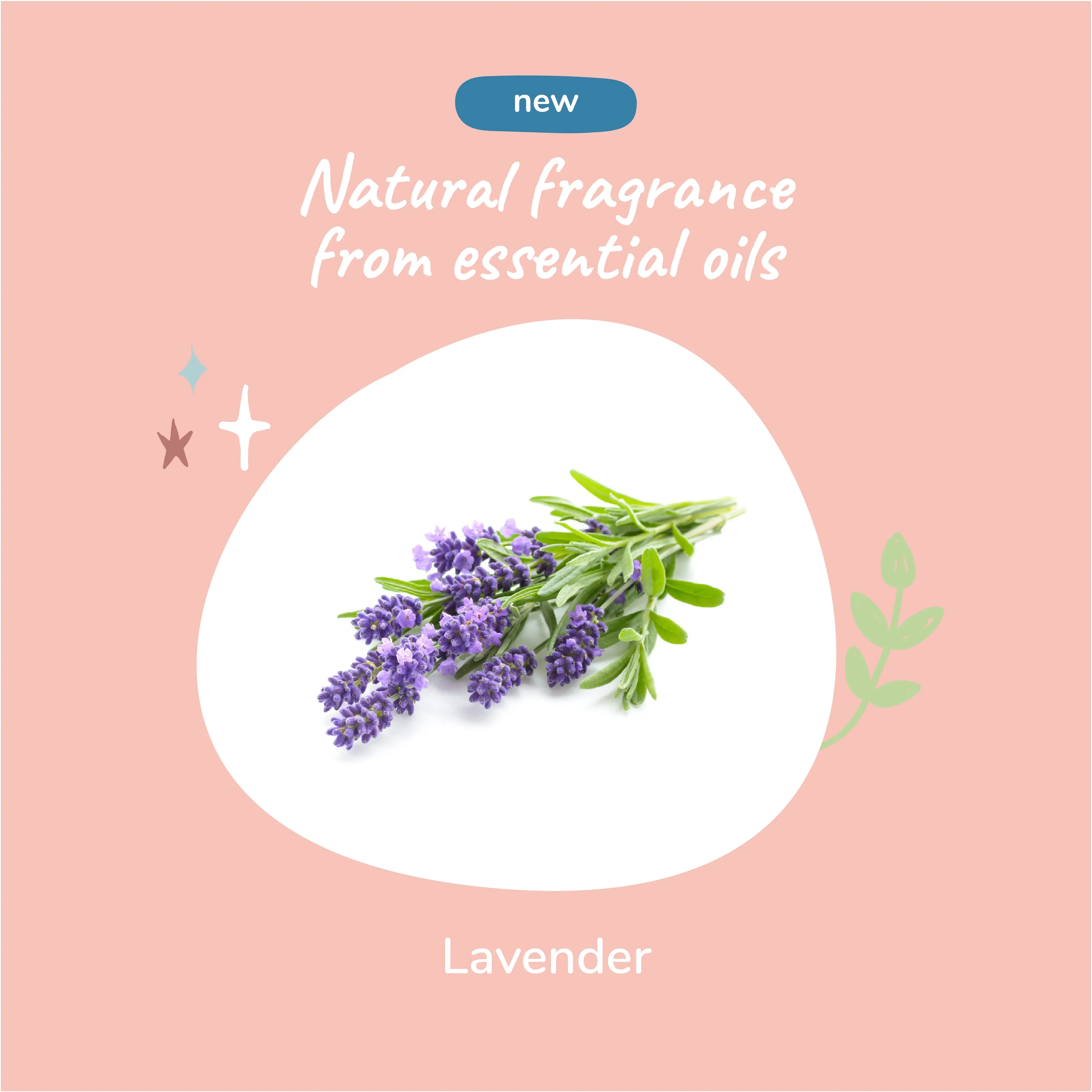 Lavender Natural Coat Spray for Dog & Cat