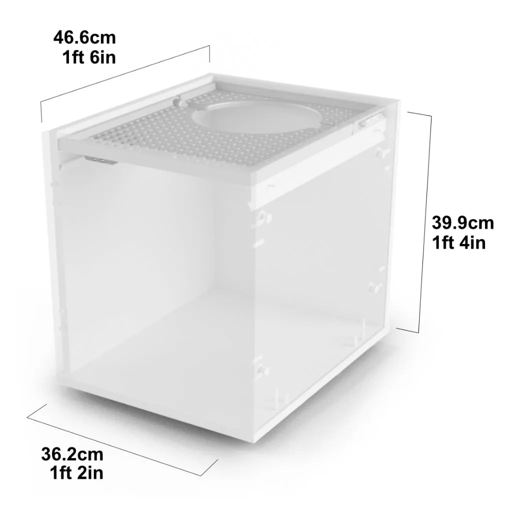 Maya Top Entry Cat Litter Box | Jump On