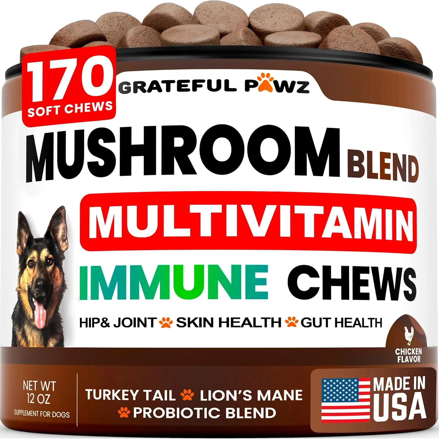 Mushroom Supplement for Dogs - 170 Chews - Mushrooms for Dogs - Turkey Tail, Reishi, Lions Mane, Glucosamine Multivitamin - Immune Booster, Gut, Hip & Joint Health Support Vitamins, Energy & Skin
