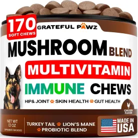 Mushroom Supplement for Dogs - 170 Chews - Mushrooms for Dogs - Turkey Tail, Reishi, Lions Mane, Glucosamine Multivitamin - Immune Booster, Gut, Hip & Joint Health Support Vitamins, Energy & Skin