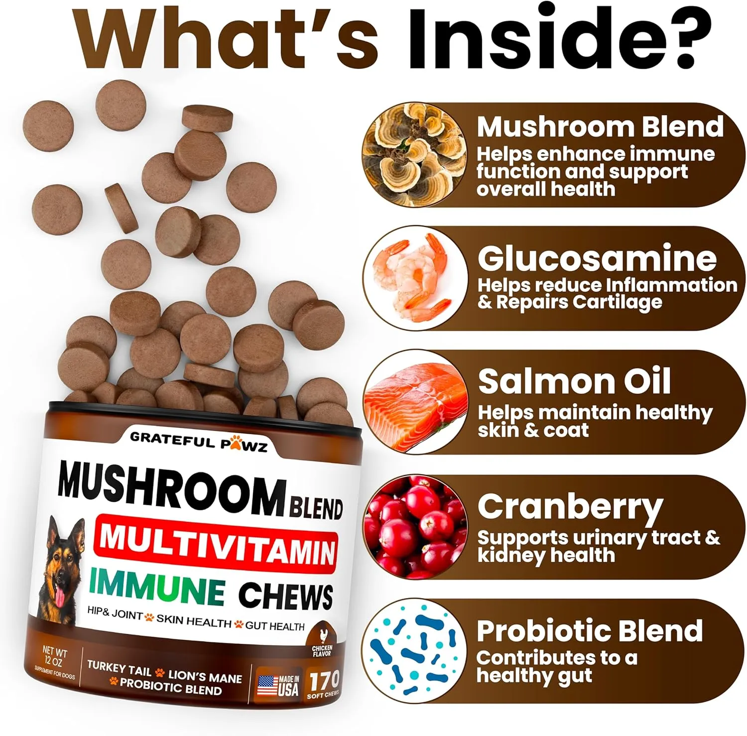 Mushroom Supplement for Dogs - 170 Chews - Mushrooms for Dogs - Turkey Tail, Reishi, Lions Mane, Glucosamine Multivitamin - Immune Booster, Gut, Hip & Joint Health Support Vitamins, Energy & Skin