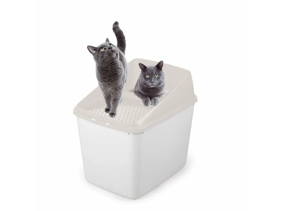 No Mess litter Box - Sand