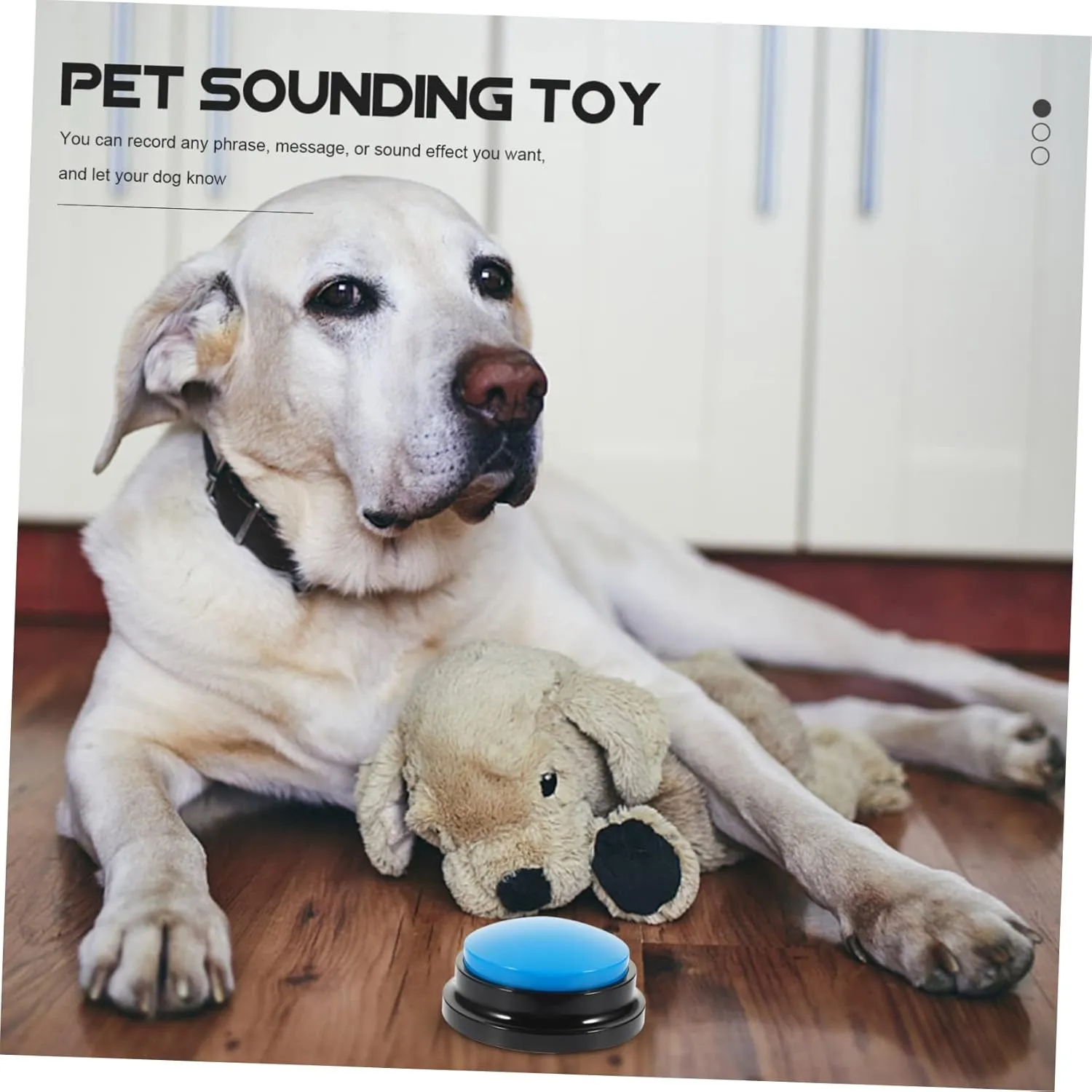 NOLITOY 3pcs Plastic Dog Voice Recording Dog Training Clickers Talking Button Puppy Toy