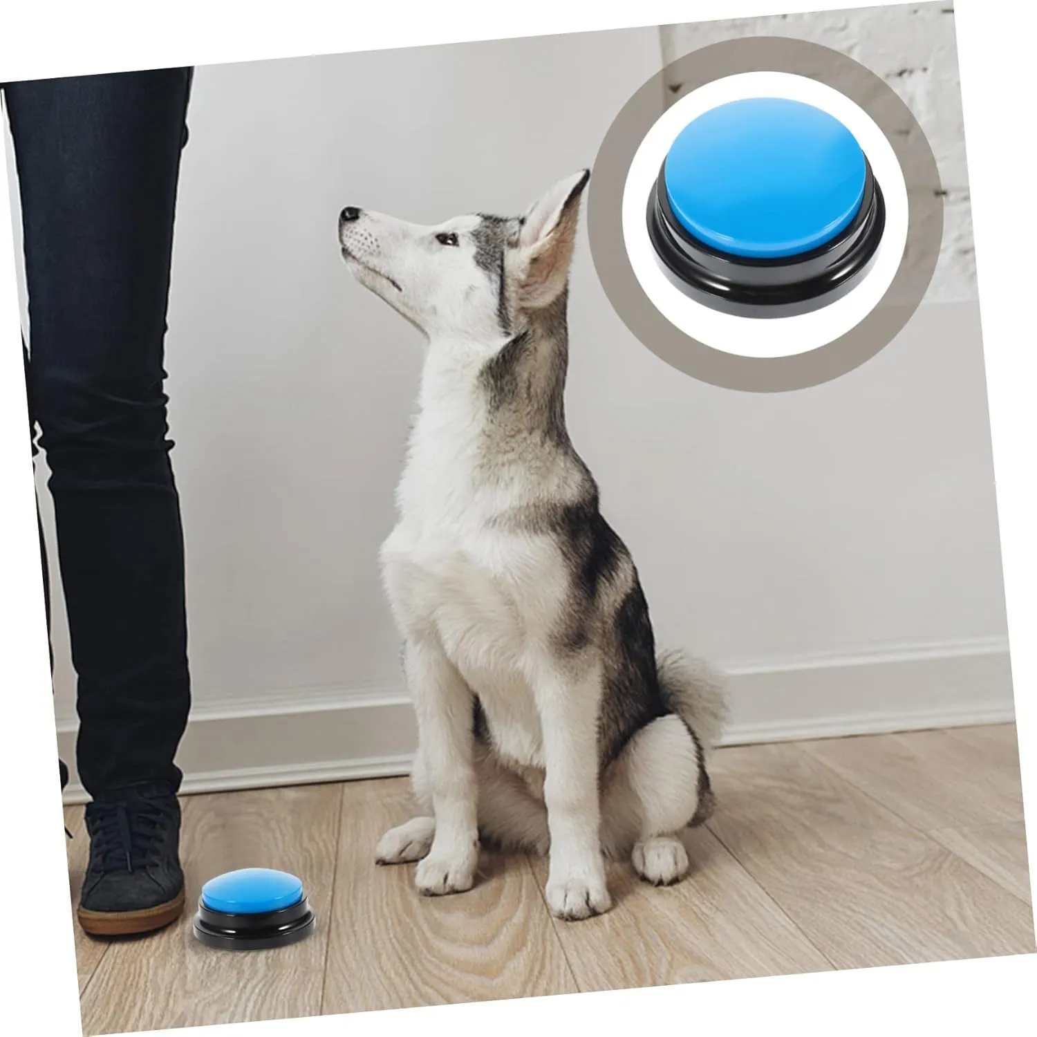 NOLITOY 3pcs Plastic Dog Voice Recording Dog Training Clickers Talking Button Puppy Toy