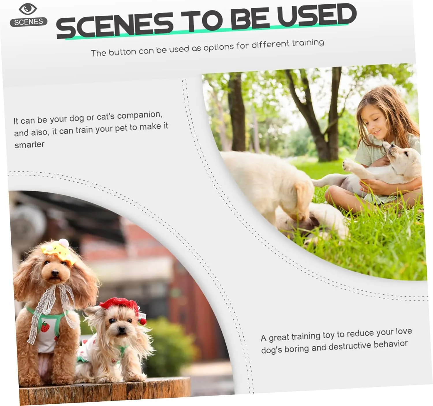NOLITOY 3pcs Plastic Dog Voice Recording Dog Training Clickers Talking Button Puppy Toy