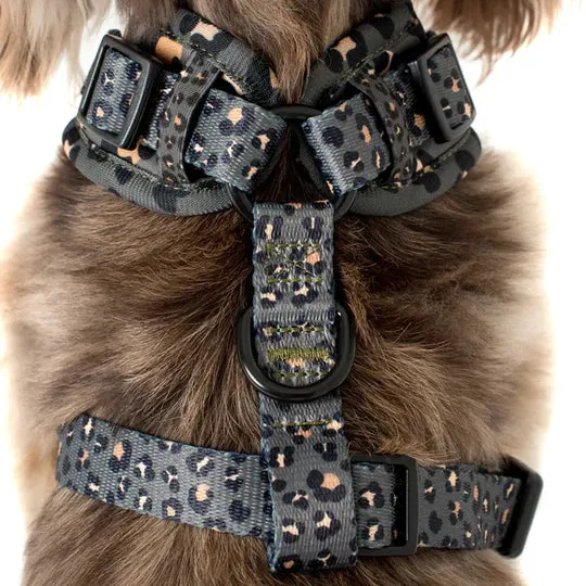Pablo & Co. Boutique Khaki Leopard Adjustable Dog Harness