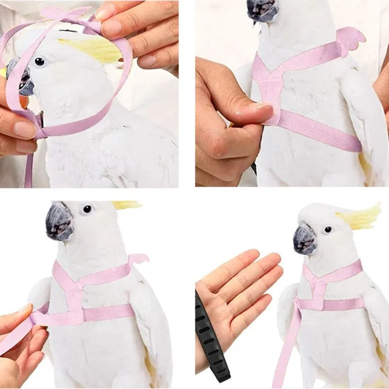 Parrot Harness Leash Set Adjustable Outdoor Flying Training Rope with Wing for Small Medium Birds Cockatiel Macaw Budgie New