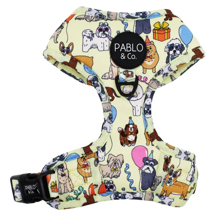 Party Dawgs Adjustable Dog Harness
