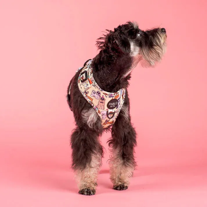 Party Dawgs Adjustable Dog Harness