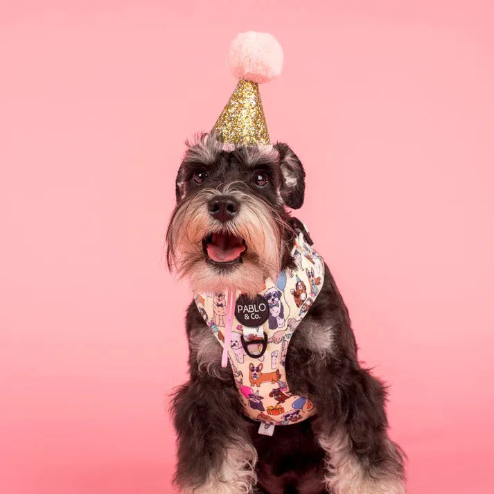 Party Dawgs Adjustable Dog Harness