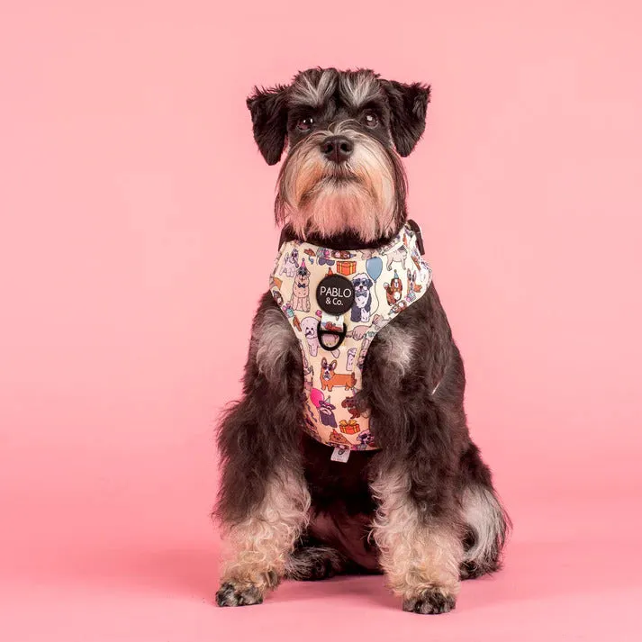 Party Dawgs Adjustable Dog Harness
