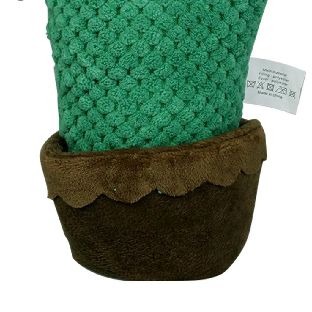 PaWz Big Green Cactus Dog Toy
