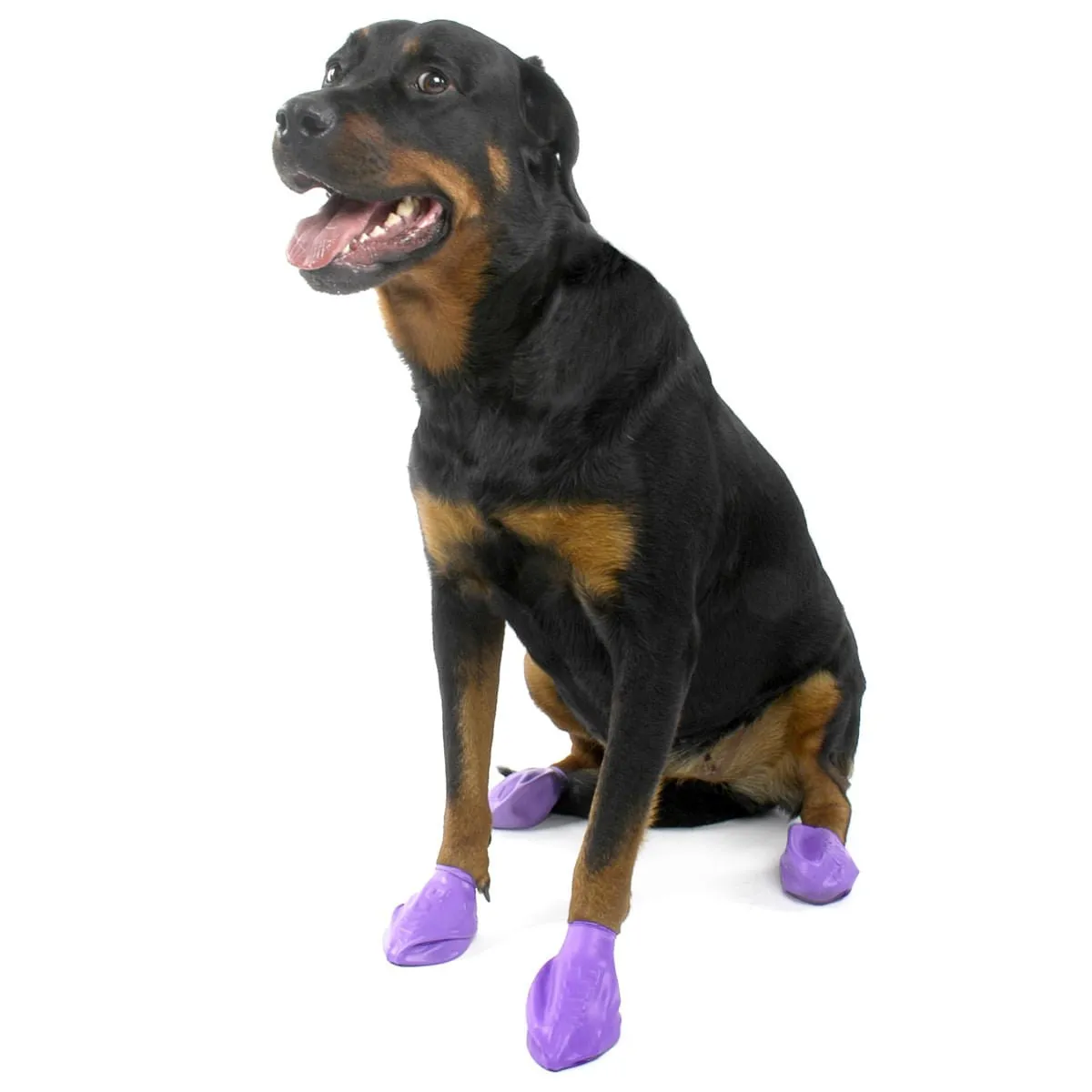 PawZ Dog Boots, 12 pk