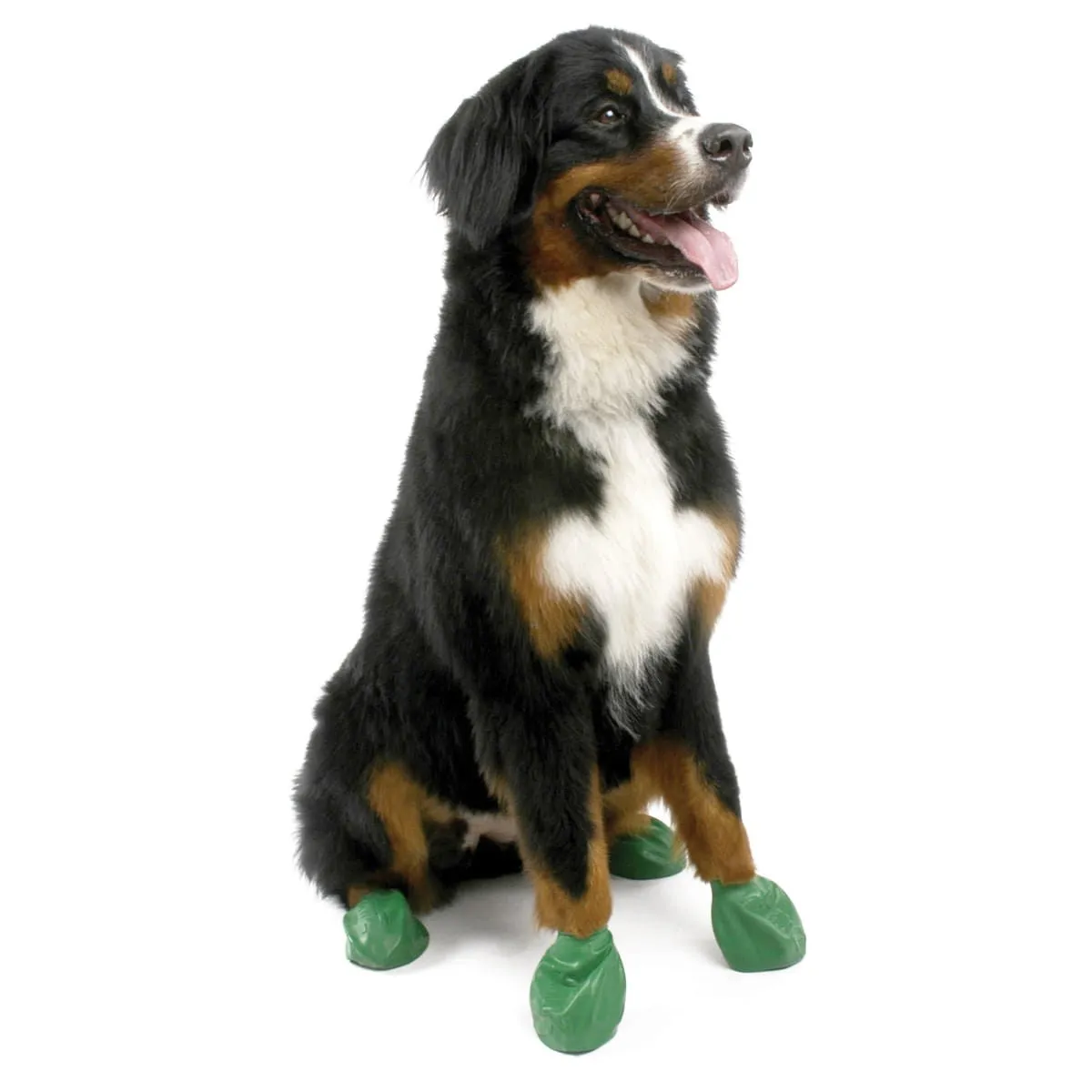 PawZ Dog Boots, 12 pk