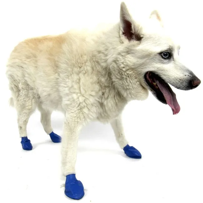 PawZ Dog Boots, 12 pk