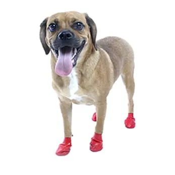PawZ Dog Boots, 12 pk