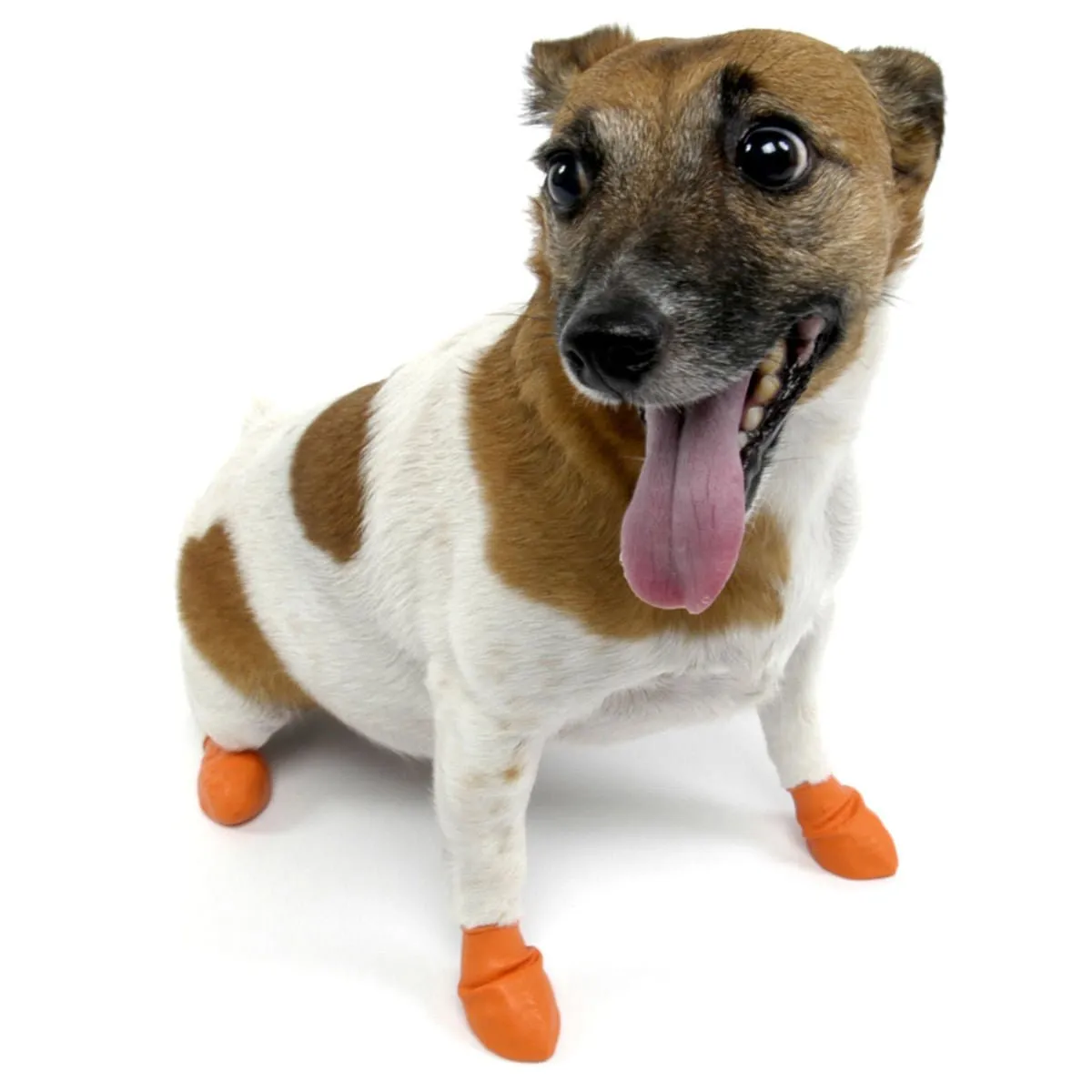 PawZ Dog Boots, 12 pk