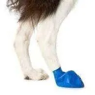 Pawz Dog Boots