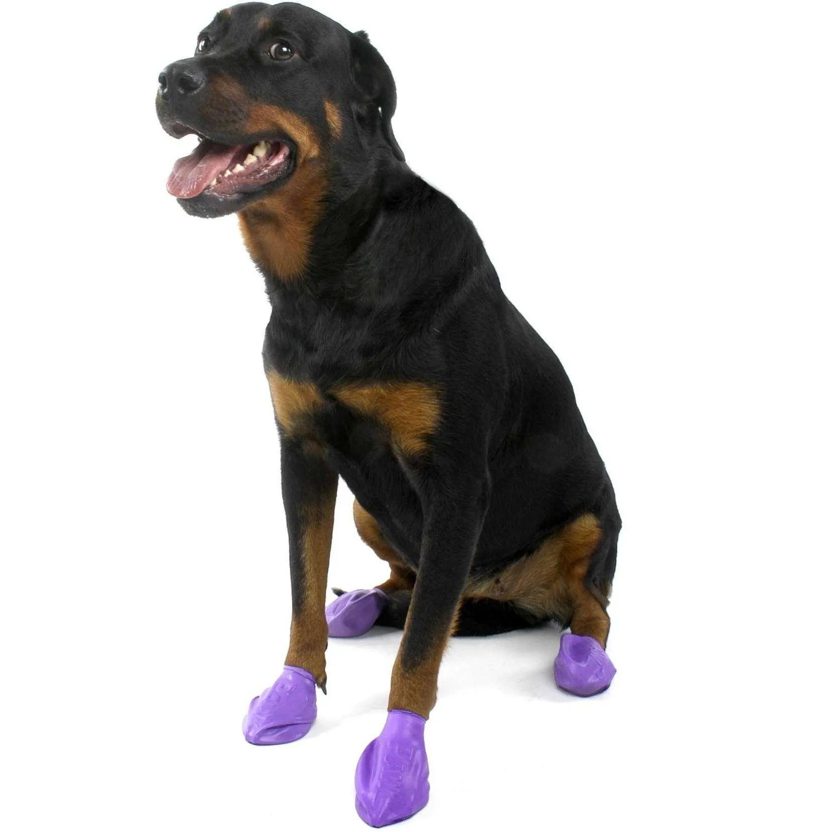 Pawz Dog Boots