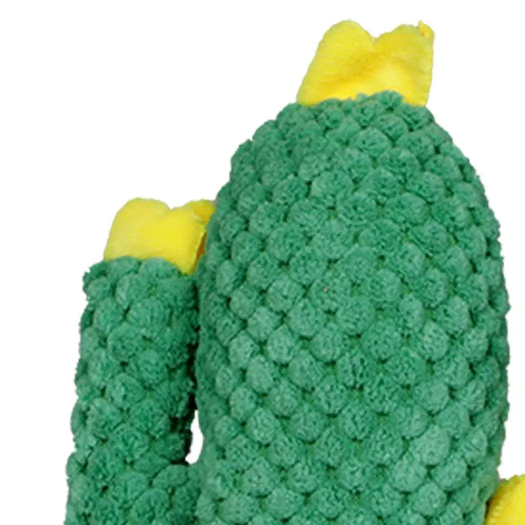 PaWz Green Ring Cactus Dog Toy