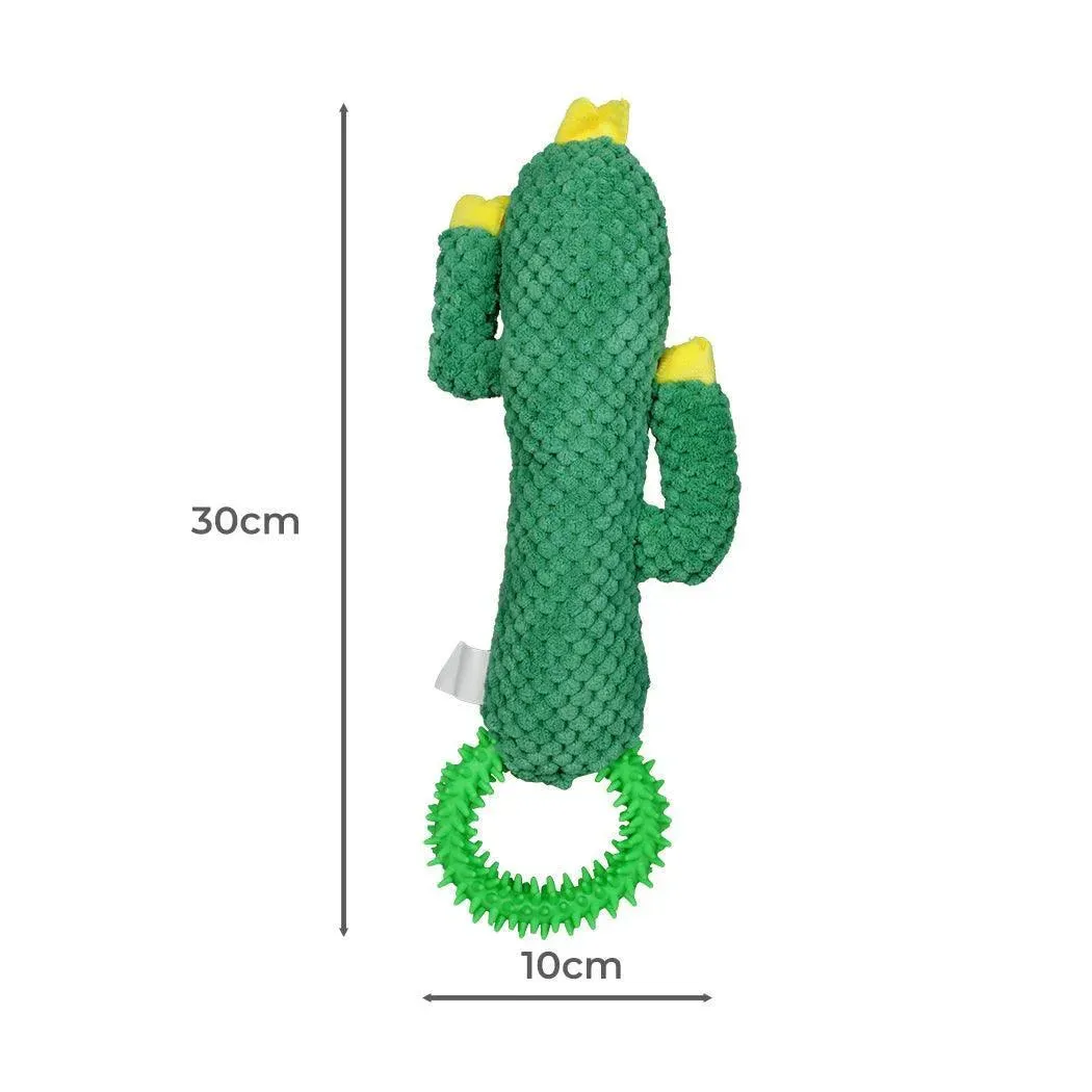 PaWz Green Ring Cactus Dog Toy