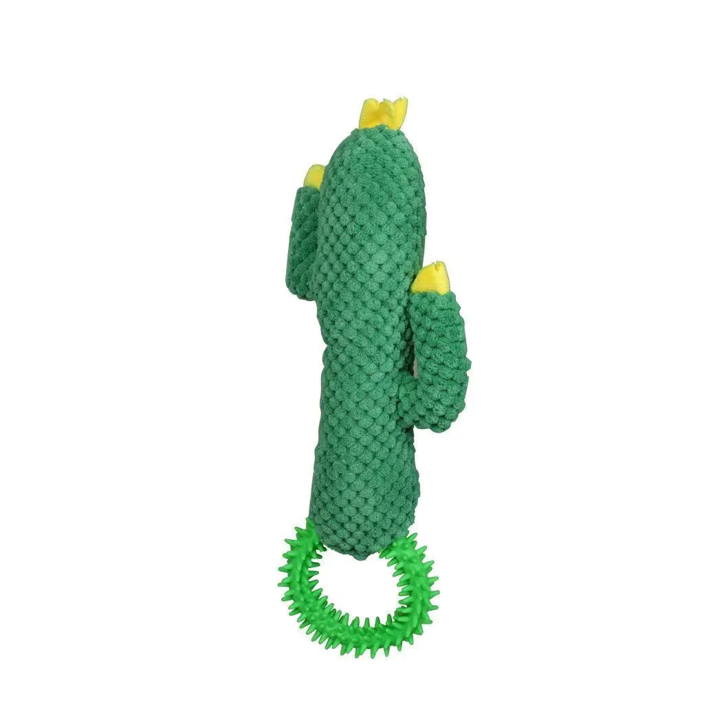 PaWz Green Ring Cactus Dog Toy