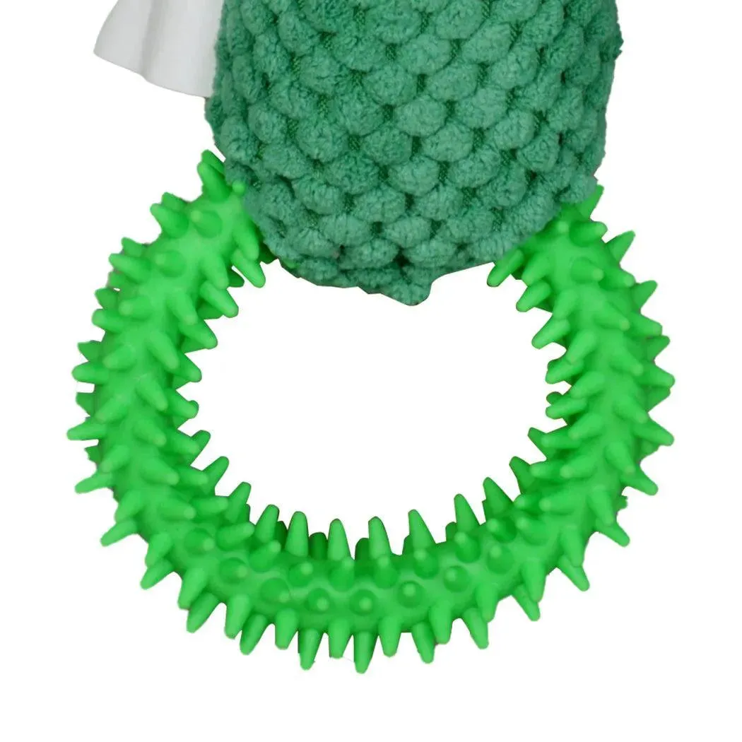 PaWz Green Ring Cactus Dog Toy