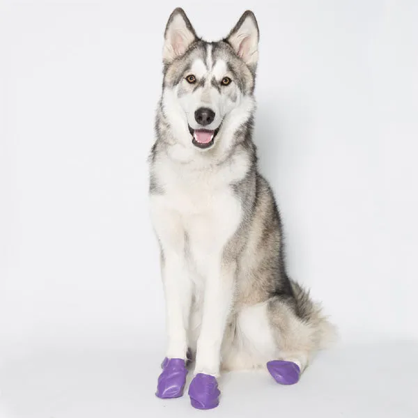 Pawz Large FINAL SALE